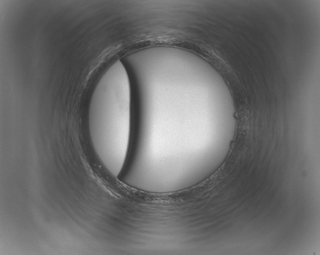 X0000078830738200611130931