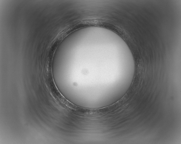 X0000078830739200611130931
