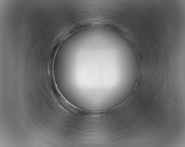 X0000078830740200611130931