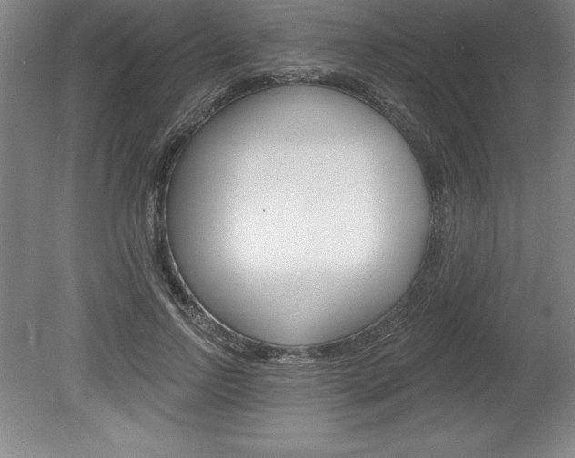 X0000078830742200611130931