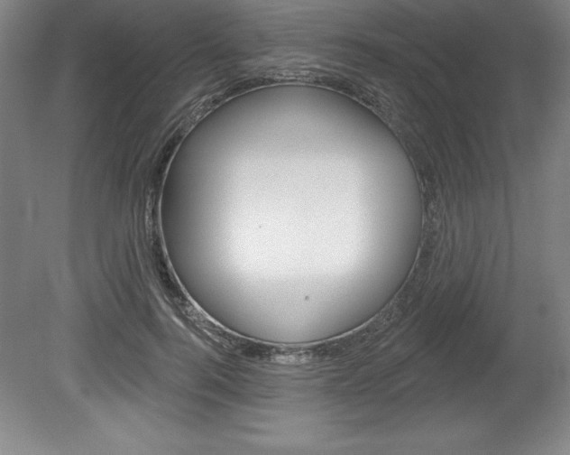 X0000078830744200611130931