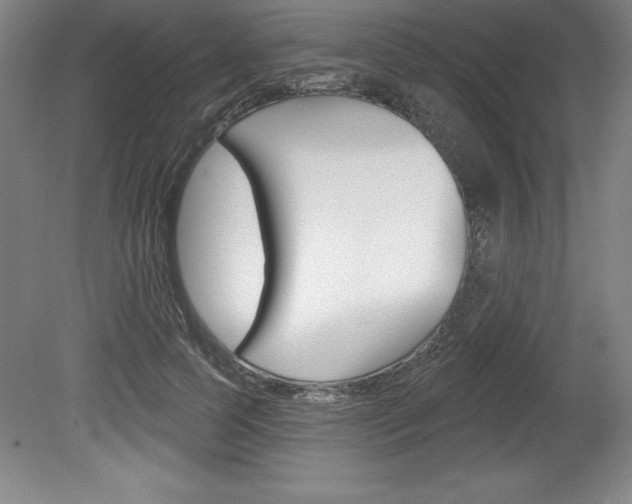 X0000078830745200611130931