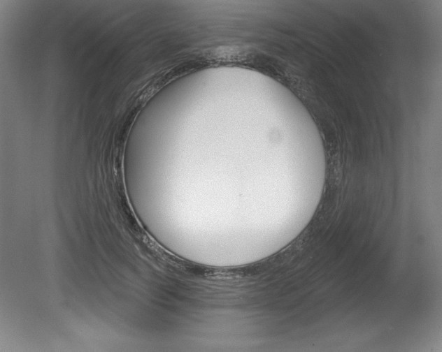 X0000078830746200611130931