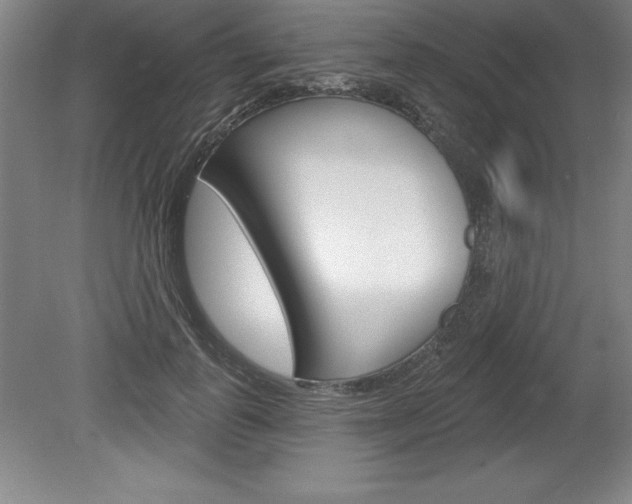 X0000078830747200611130931