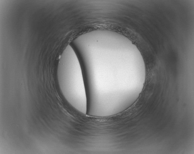 X0000078830749200611130931
