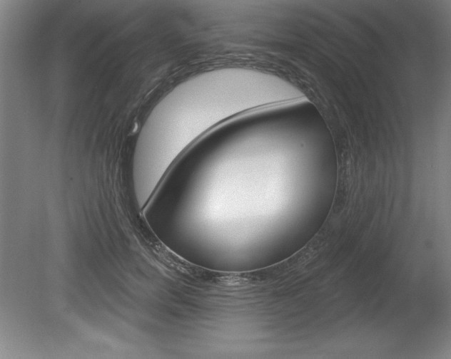 X0000078830750200611130931