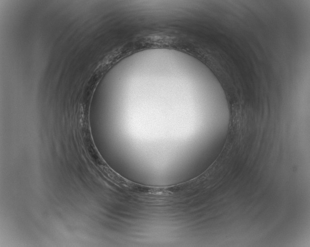 X0000078830752200611130931