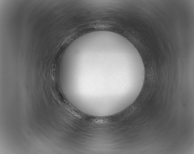 X0000078830755200611130931