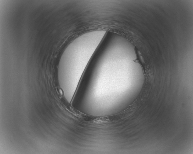 X0000078830756200611130931