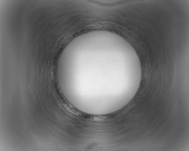 X0000078830758200611130931