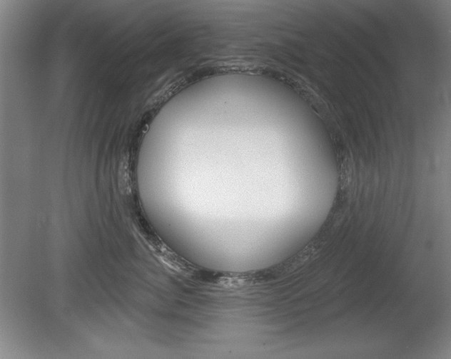 X0000078830764200611130932
