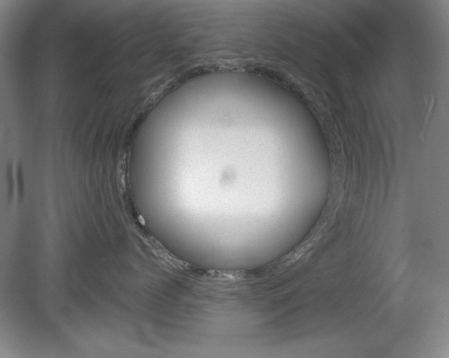 X0000078830768200611130932
