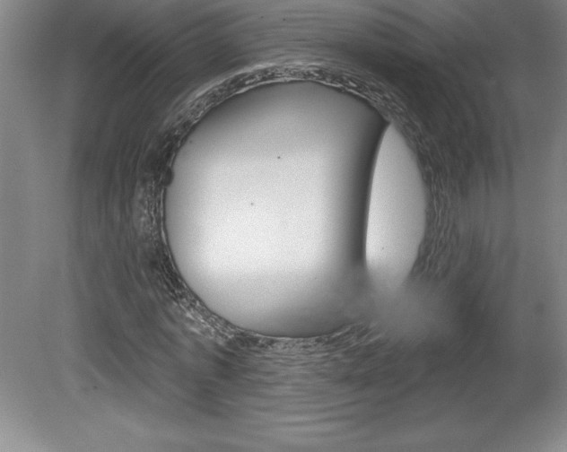 X0000078830773200611130931