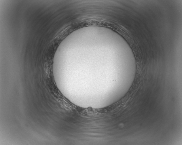 X0000078830774200611130931