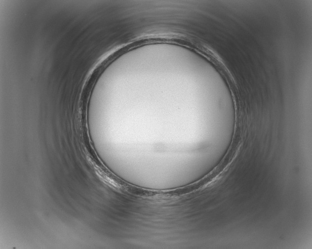 X0000078830779200611130931