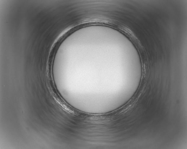 X0000078830780200611130931