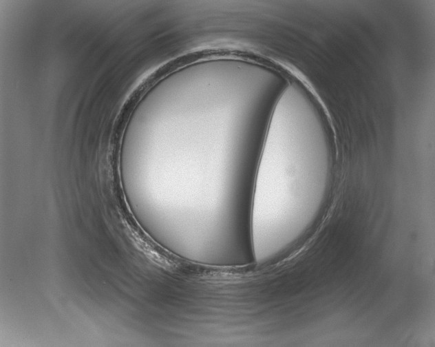 X0000078830783200611130931