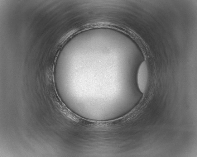 X0000078830785200611130931