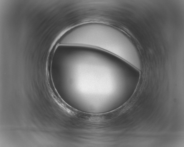 X0000078830788200611130931