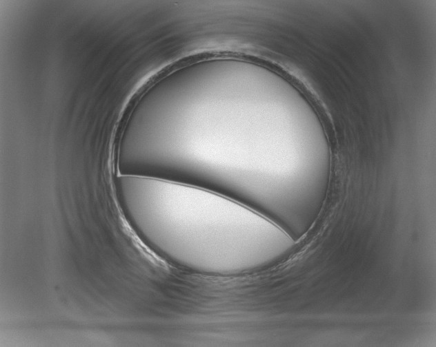 X0000078830791200611130930