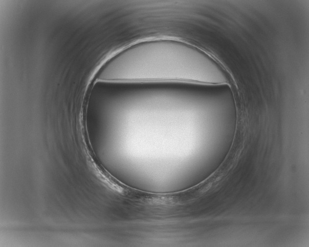 X0000078830797200611130930