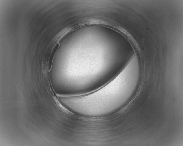X0000078830801200611130930