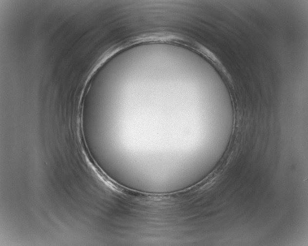 X0000078830802200611130930