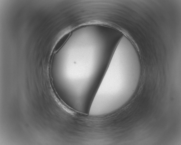 X0000078830805200611130930
