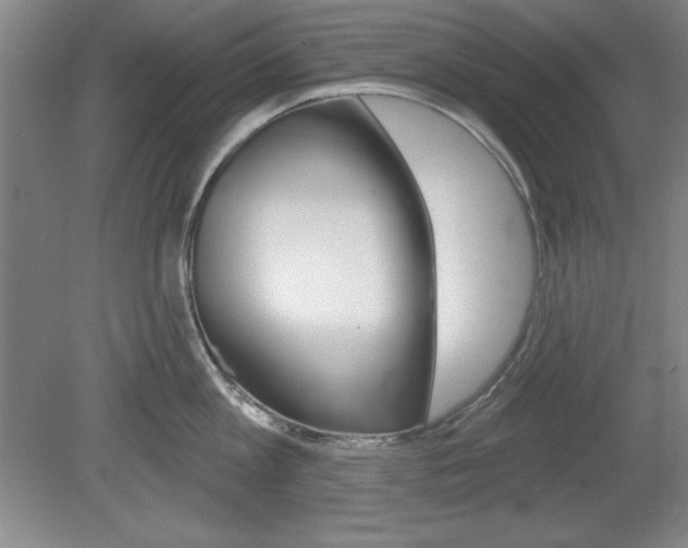X0000078830813200611130930