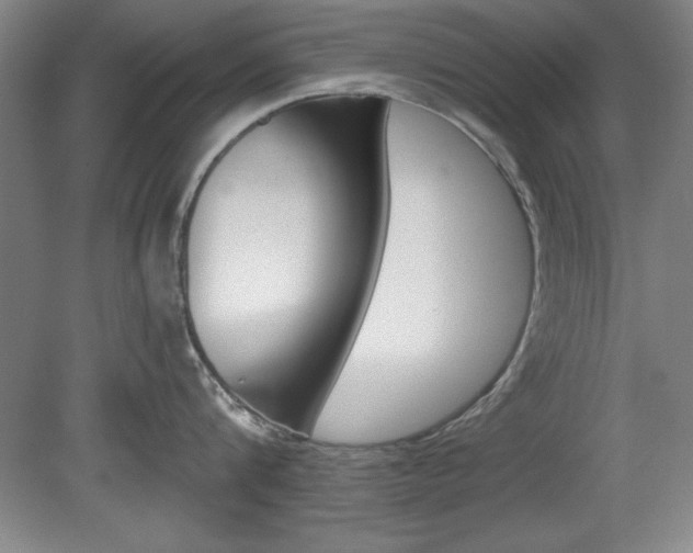 X0000078830816200611130930