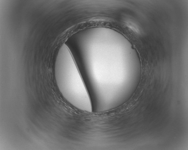 X0000078830821200611130929