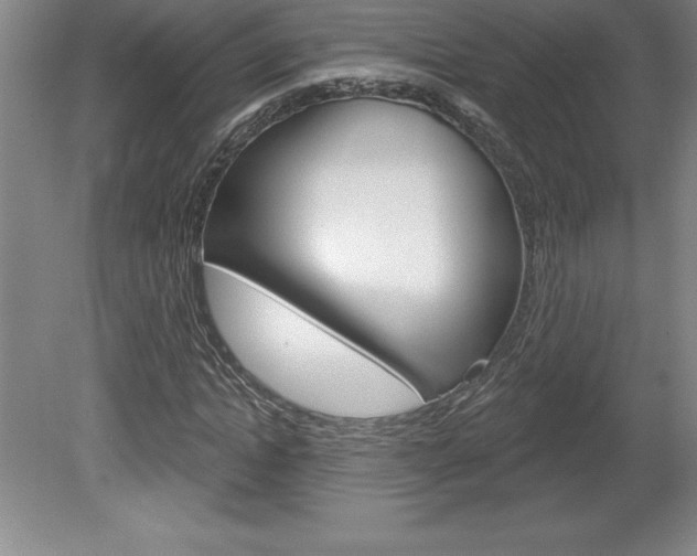 X0000078830822200611130929