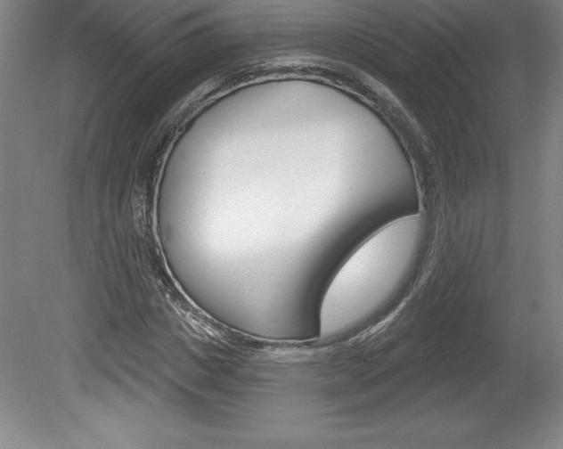 X0000078830825200611130929