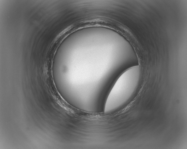 X0000078830826200611130929
