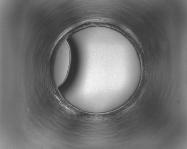 X0000078830829200611130929
