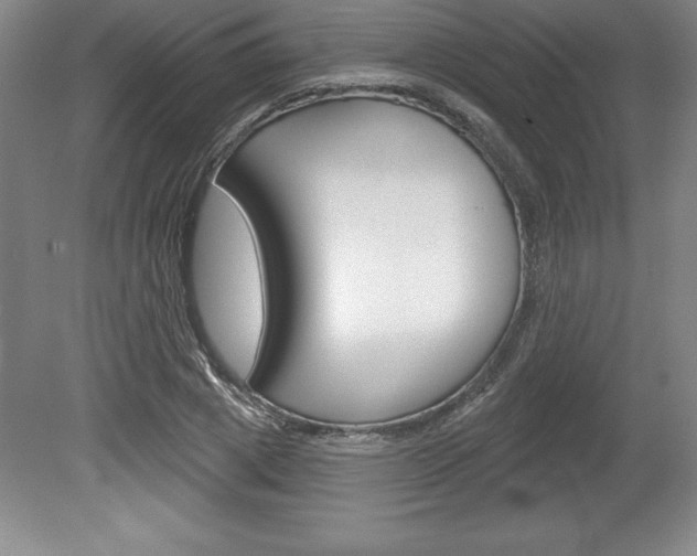 X0000078830833200611130929