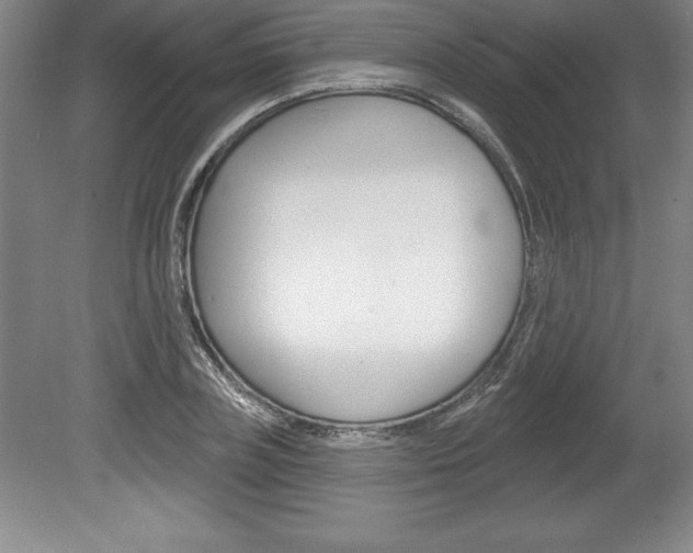 X0000078830835200611130930