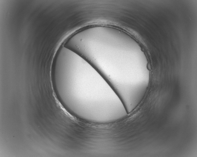 X0000078830839200611130930