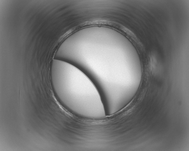 X0000078830841200611130930