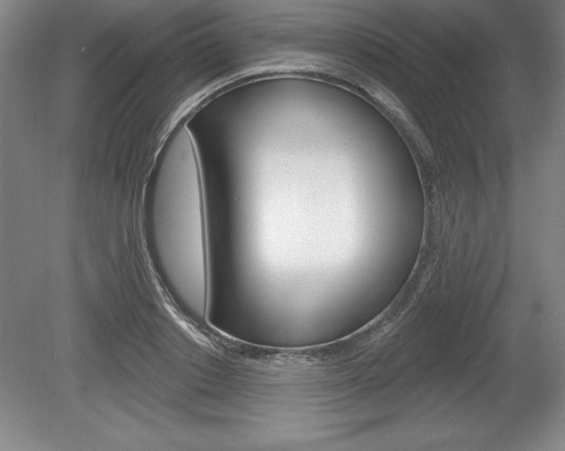 X0000078830842200611130930