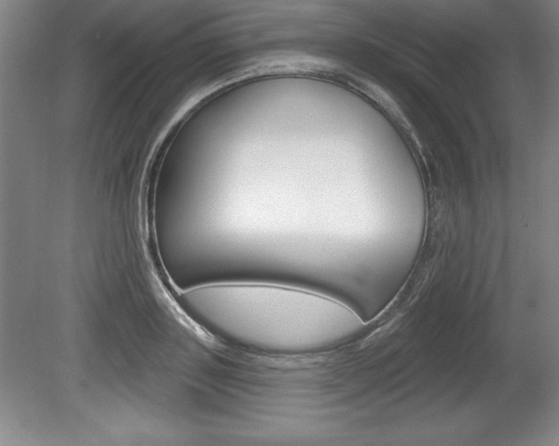 X0000078830843200611130930