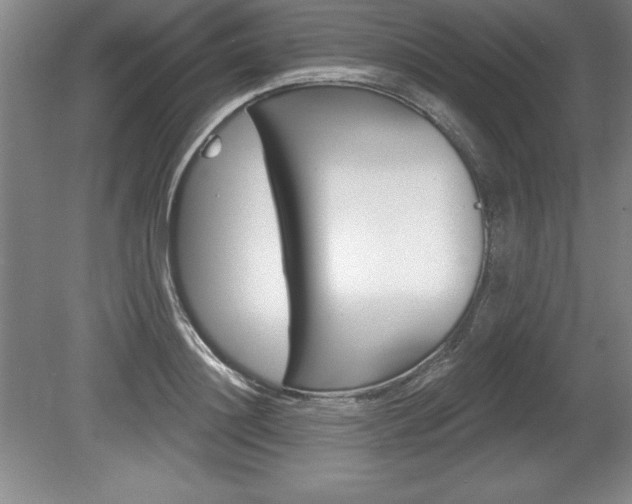 X0000078830844200611130930