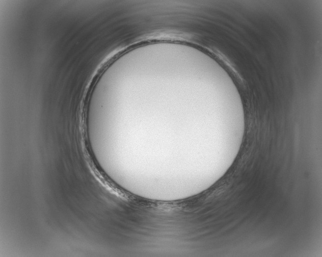 X0000078830848200611130930