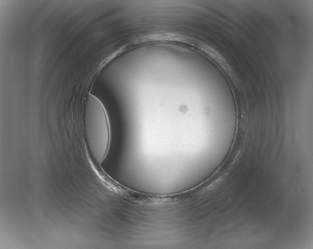 X0000078830849200611130930