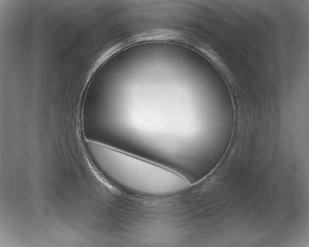 X0000078830850200611130930