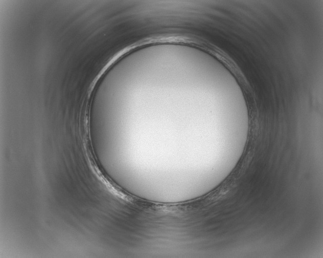 X0000078830852200611130930