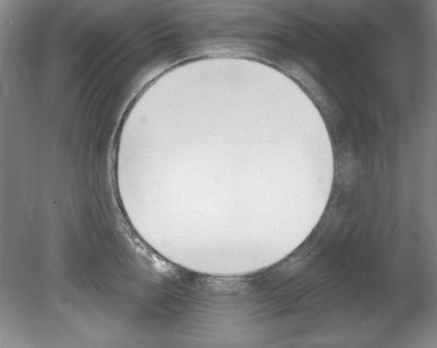 X0000078830856200611130930