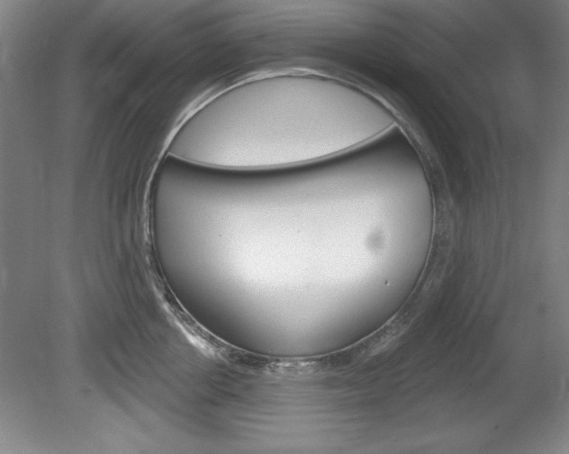 X0000078830858200611130930