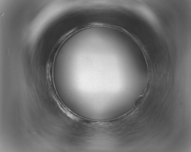 X0000078830862200611130930