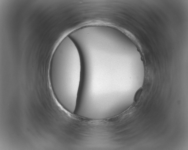 X0000078830863200611130930
